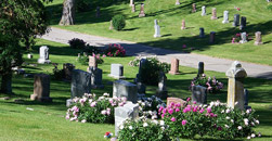 St Bernard's Cemetery